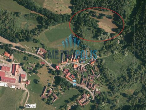 Prodej pozemku – trvalý travní porost 2214m², Březí (Trhové Sviny)