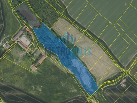 Prodej pozemku Benešov u Prahy, 23959m2 - trvalý travní porost